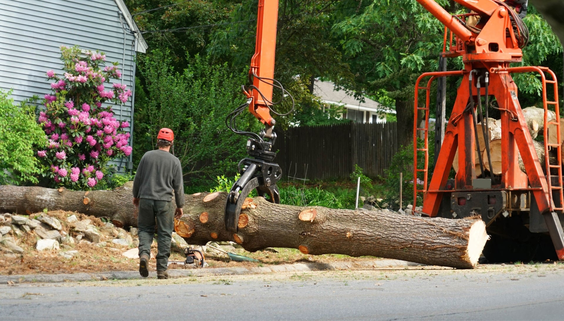 A tree stump has fallen and needs tree removal services in Albany, New York